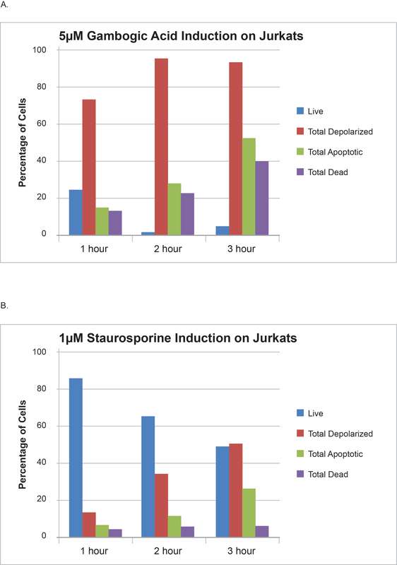 Figure 2. Time course of treatment of Jurkat cells with (A) 5 µM gambogic Acid and (B) 1 µm staurosporine followed by analysis with the Muse® MitoPotential and Muse® Annexin V & Dead Cell Assays. (Source: EMD Millipore)